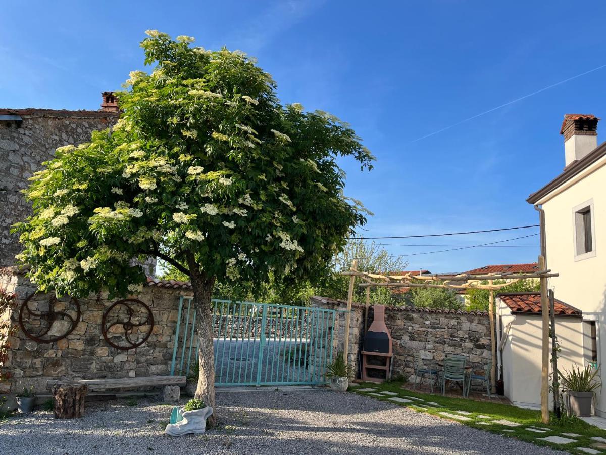 Apartma Ob Stari Murvi, Сезана Экстерьер фото